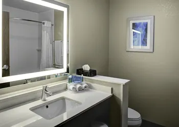 Holiday Inn Express & Suites Coldwater by IHG hotel thumbnail 8