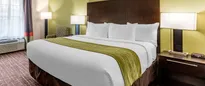 Hotel thumbnail 5