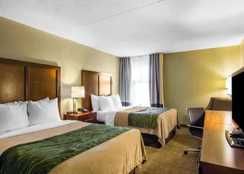 Quality Inn hotel thumbnail 3