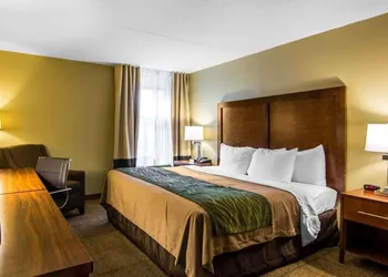 Quality Inn hotel thumbnail 4