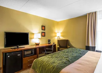 Quality Inn hotel thumbnail 6