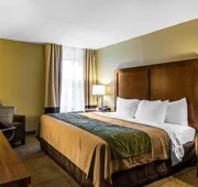 Quality Inn hotel detail image 4