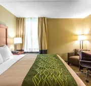 Quality Inn hotel detail image 5