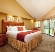 Westgate Vacation Villas Resort hotel detail image 5