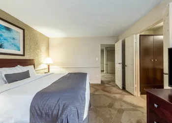 The Blu Hotel Blue Ash Cincinnati, an Ascend Collection Hotel hotel thumbnail 8
