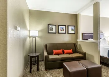 Comfort Suites Houston IAH Airport - Beltway 8 hotel thumbnail 8
