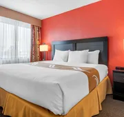 Quality Inn & Suites - Toronto West hotel detail image 7