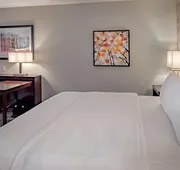 Homewood Suites by Hilton St. Louis Westport hotel detail image 5