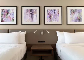 Hilton Garden Inn Springfield hotel thumbnail 7