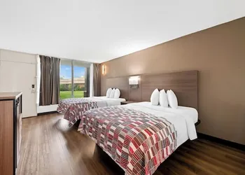 Red Roof Inn Charlotte - Airport hotel thumbnail 4