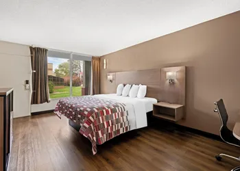 Red Roof Inn Charlotte - Airport hotel thumbnail 8