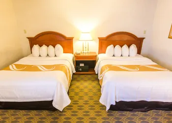 Quality Inn & Suites University hotel thumbnail 8