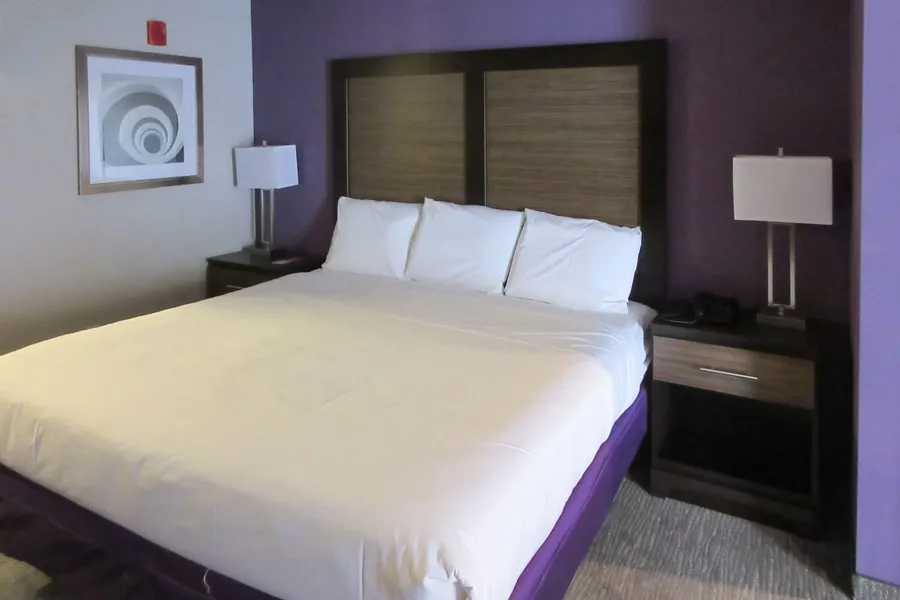 Econo Lodge Inn & Suites North Little Rock near Riverfront hotel detail image 6