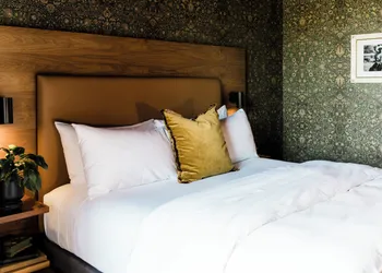 The Frances Modern Inn hotel thumbnail 5