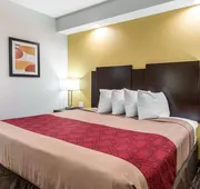 Scottish Inns and Suites Spring, TX hotel detail image 3