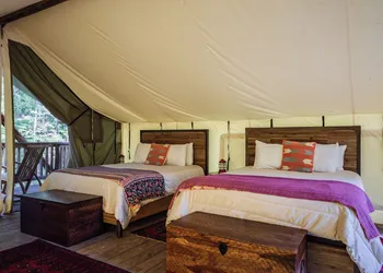 Firelight Camps hotel thumbnail 8