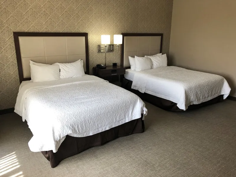 Hampton Inn & Suites Tampa Busch Gardens Area hotel detail image 6