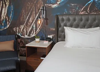 Hotel Indigo Naperville Riverwalk by IHG hotel thumbnail 6