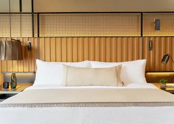 1 Hotel Brooklyn Bridge hotel thumbnail 5
