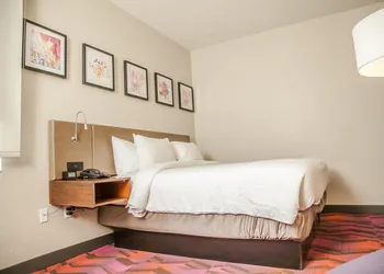 Hilton Garden Inn Tampa Suncoast Parkway hotel thumbnail 5