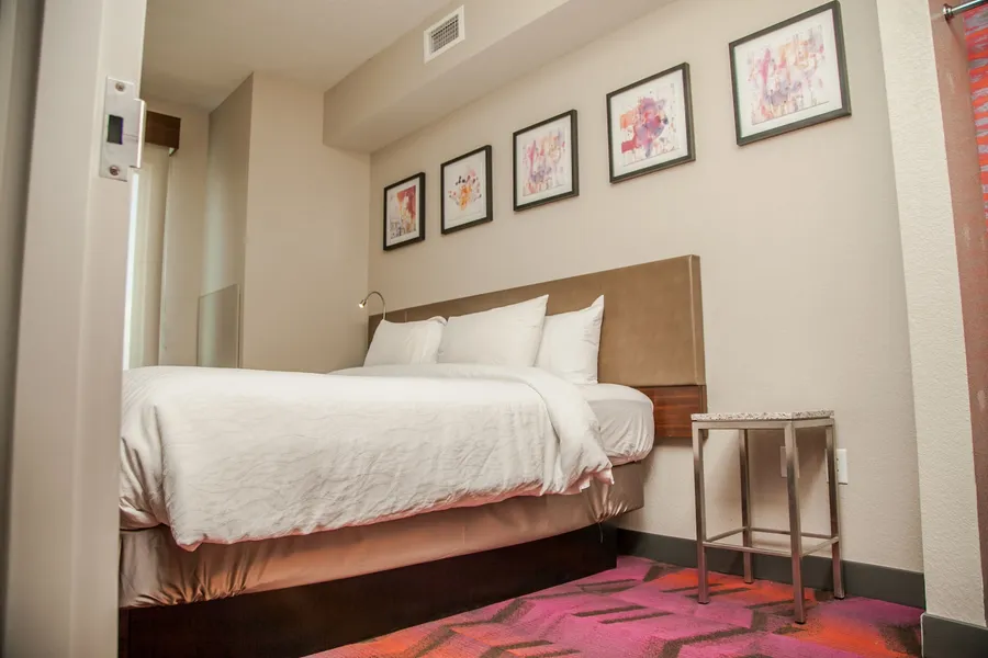 Hilton Garden Inn Tampa Suncoast Parkway hotel detail image 6