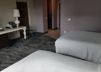 Hilton Garden Inn Tampa Suncoast Parkway hotel thumbnail 8