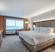 Holiday Inn Express & Suites Dallas North - Addison by IHG hotel detail image 4