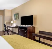Best Western Plus Galveston Suites hotel detail image 5