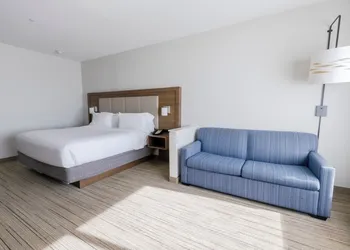 Holiday Inn Express & Suites Dallas Northeast - Arboretum by IHG hotel thumbnail 6
