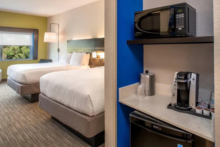 Holiday Inn Express & Suites Tampa North - Wesley Chapel by IHG hotel detail image 2