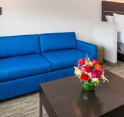 Holiday Inn Express & Suites Tampa North - Wesley Chapel by IHG hotel detail image 7