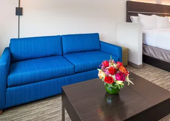 Holiday Inn Express & Suites Tampa North - Wesley Chapel by IHG hotel thumbnail 7