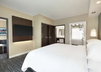Embassy Suites by Hilton Atlanta NE Gwinnett Sugarloaf hotel thumbnail 7