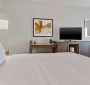 Hampton Inn & Suites Columbus Scioto Downs hotel detail image 7