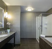 Holiday Inn & Suites Silicon Valley - Milpitas by IHG hotel detail image 3