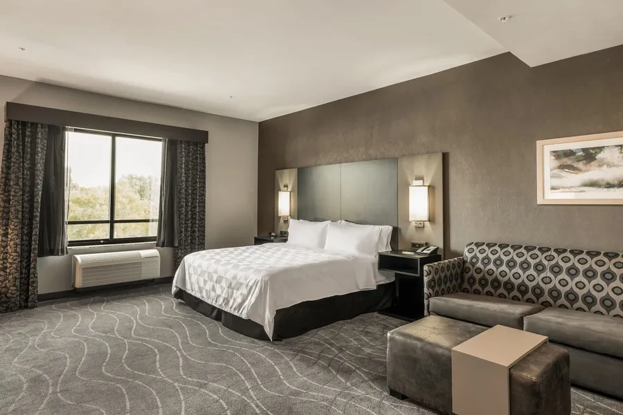 Holiday Inn & Suites Silicon Valley - Milpitas by IHG hotel detail image 6