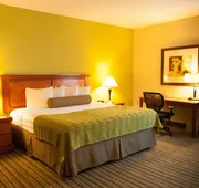 Best Western Plus Miami-Doral/Dolphin Mall hotel detail image 5