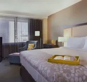 The Windsor Suites hotel detail image 7