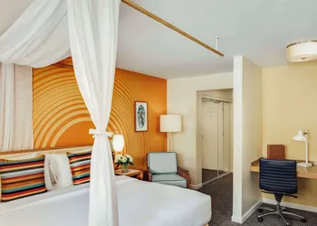 Wild Palms, a JdV by Hyatt Hotel hotel thumbnail 7