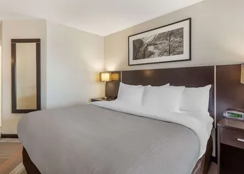 Quality Hotel hotel thumbnail 8