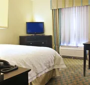 Hampton Inn Gadsden/Attalla I-59 hotel detail image 7