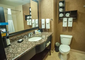 Hampton Inn & Suites Palestine hotel thumbnail 6