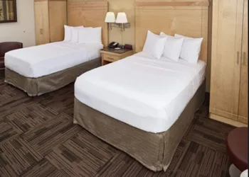 LivINN Hotel St. Paul – I-94 – East 3M Area hotel thumbnail 3