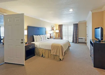 Holiday Inn Hotel & Suites San Mateo-San Francisco SFO by IHG hotel thumbnail 4