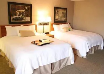 Hampton Inn Columbus/Taylorsville/Edinburgh hotel thumbnail 4