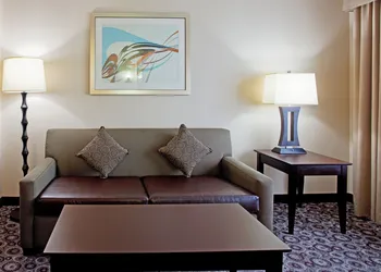 Holiday Inn Oceanside Camp Pendleton Area by IHG hotel thumbnail 6