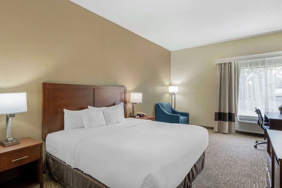 Comfort Inn & Suites La Grange - Louisville Area hotel detail image 6