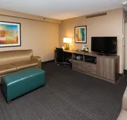 Holiday Inn Downtown - Mercy Area by IHG hotel detail image 3