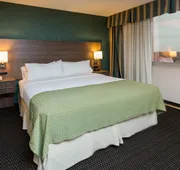 Holiday Inn Downtown - Mercy Area by IHG hotel detail image 4
