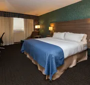 Holiday Inn Downtown - Mercy Area by IHG hotel detail image 5